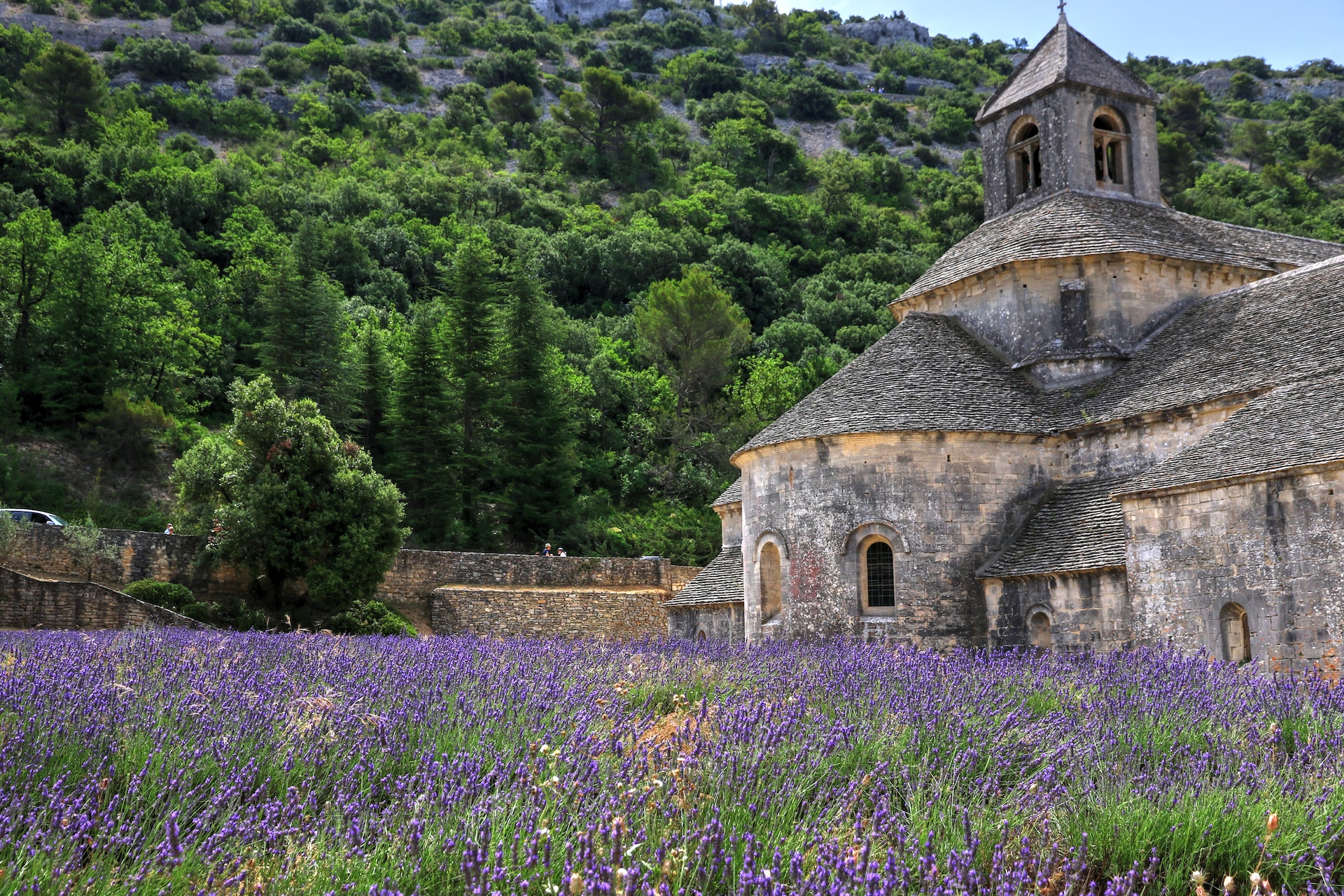 La Provenza è una regione della Francia immersa nella dimensione del sogno: ed è qui che Francesco Petrarca ha trovato ispirazione.